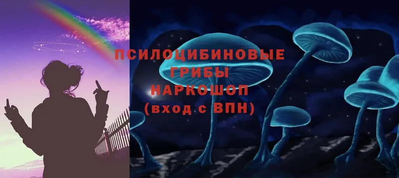 Галлюциногенные грибы Magic Shrooms  Межгорье 